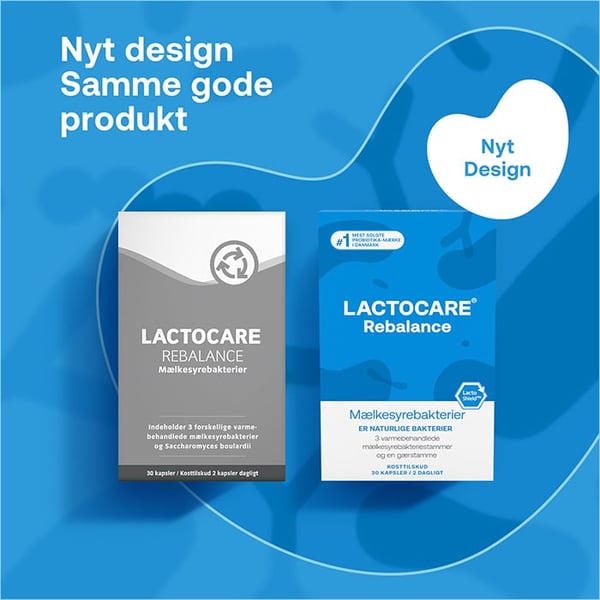 07_New-design_Launch